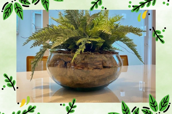 Arranjos com Samambaia em Vaso de Vidro